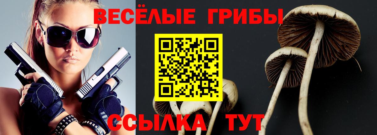 Галлюциногенные грибы Psilocybine cubensis  Вход с VPN  Кимры 